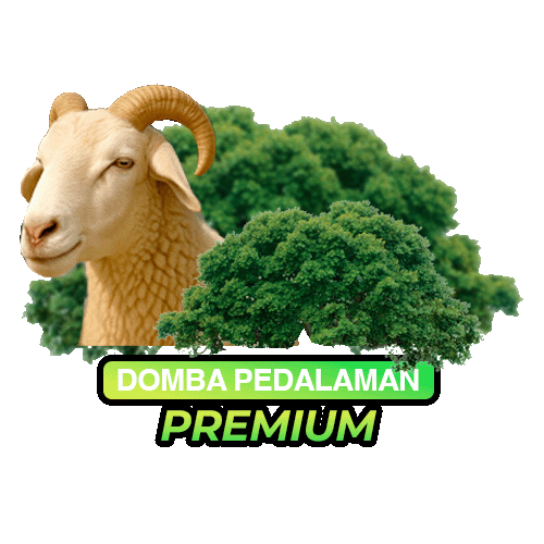 Premium